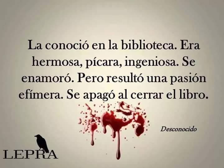 Imagen.7