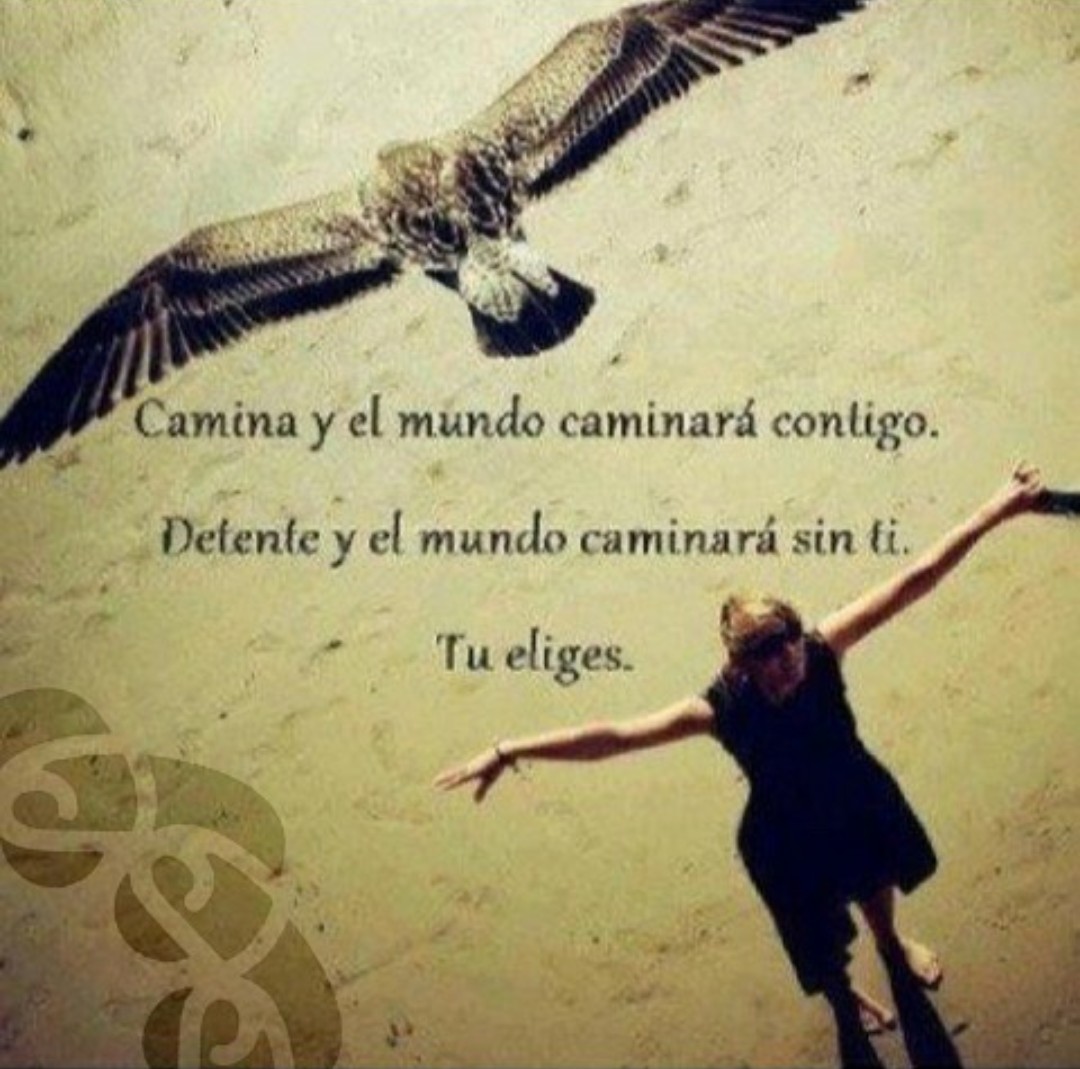 Imagen.9