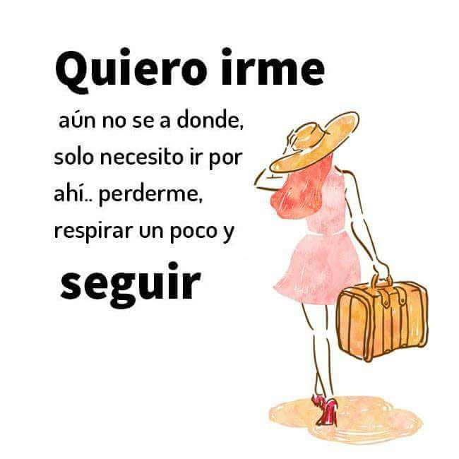 Imagen.14