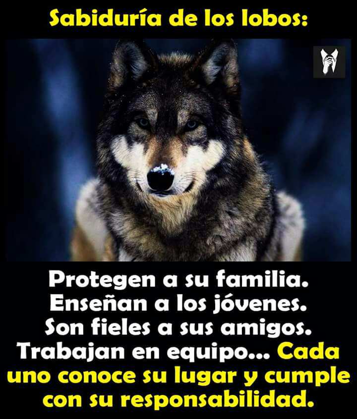 Imagen.20